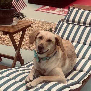 Meet your Posher, Michaela